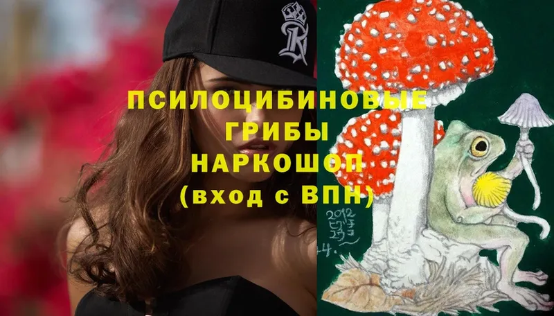 наркота  Городовиковск  Псилоцибиновые грибы Magic Shrooms 